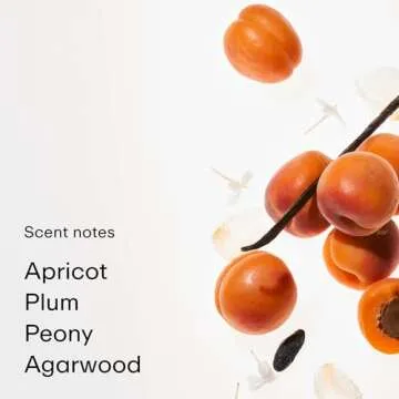 PHLUR Apricot Privée Eau de Parfum - Travel Size Perfume for Women & Men Fragrance - Woody & Fruity Perfume with Apricot, Jasmine & Sandalwood (9.5mL)