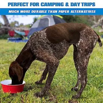 Party Disposable Dog Bowls - Fun and Functional Feeding Options