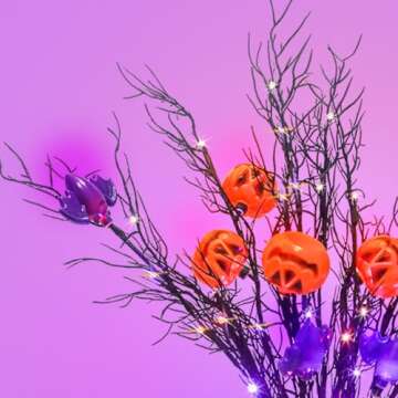 Krissing 3PCS 30" Lighted Halloween Branches with Timer 60LED 5 Jack-O-Lantern Pumpkin & 4 Bats Black Twig Branch Lights Battery Operated for Indoor Outdoor Halloween Party Decor