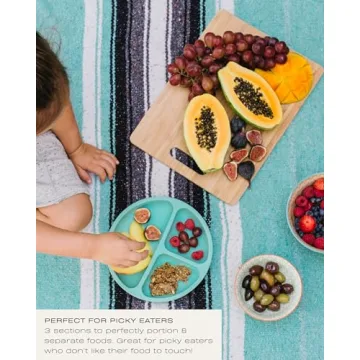 Buy Hippopotamus Toddler Plates - Suction & Silicone Set Now!