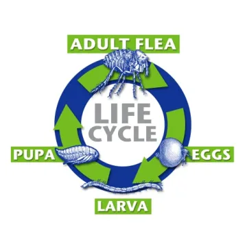 Flea Destroyer Natural Pest Control for Dogs & Cats