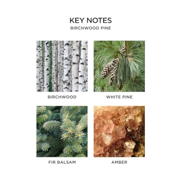 NEST Birchwood Pine Candle – Luxury Scented Décor for Gifts