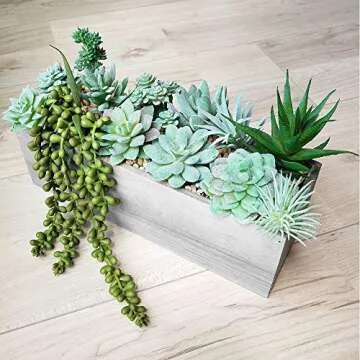 Supla Mini Artificial Succulents Collection - 11 Pieces