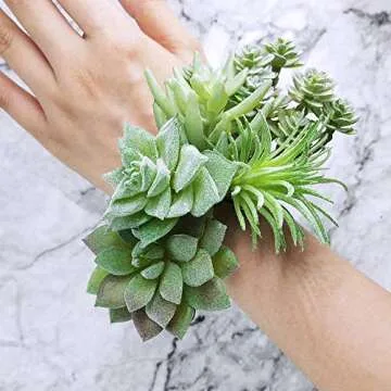 Supla Mini Artificial Succulents Collection - 11 Pieces