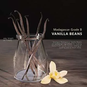 Strongus Madagascar Vanilla Beans - Vacuum Sealed Grade B Vanilla Pods - Rich, Creamy Flavor & Aroma - Ingredients for Baking, Homemade Extract, Paste, Brewing, Coffee, Cooking - 5-6", 10-Pack