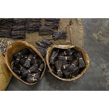 Strongus Madagascar Vanilla Beans - Vacuum Sealed Grade B Vanilla Pods - Rich, Creamy Flavor & Aroma - Ingredients for Baking, Homemade Extract, Paste, Brewing, Coffee, Cooking - 5-6", 10-Pack