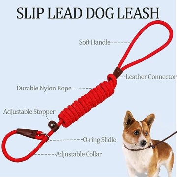 MayPaw Slip Lead Control Leash for Dogs, 2-in-1