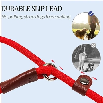 MayPaw Slip Lead Control Leash for Dogs, 2-in-1