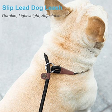 MayPaw Slip Lead Control Leash for Dogs, 2-in-1