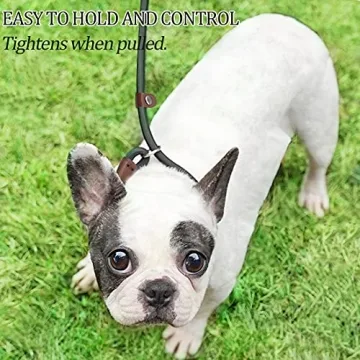 MayPaw Slip Lead Control Leash for Dogs, 2-in-1