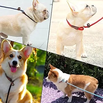 MayPaw Slip Lead Control Leash for Dogs, 2-in-1