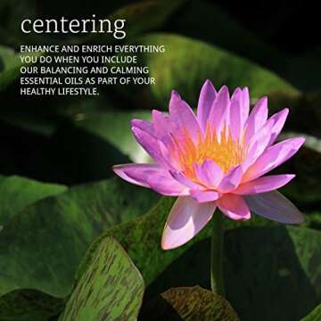 NOW Essential Oils, Peace & Harmony Oil Blend, Calming Aromatherapy Scent, Blend of Pure Essential Oils, Vegan, Child Resistant Cap, 1-Ounce