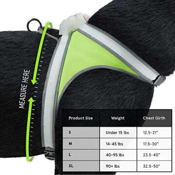 Noxgear LightHound - Multicolor LED Illuminated, Reflective Dog Harness (Medium)