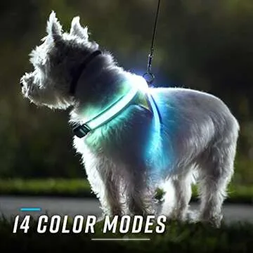 Noxgear LightHound - LED Dog Harness for Safety
