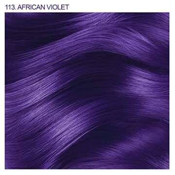 Adore Semi Permanent Hair Color - Vegan and Cruelty-Free Purple Hair Dye - 4 Fl Oz - 113 African Violet (Pack of 2)