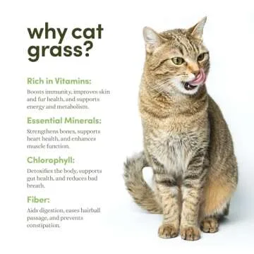 Grow Your Own Cat Grass for Indoor Cats Kit - 3 Complete Growing Kits - Plant Seeds, Pets Health Supplies Stuff - Gift for Pet Lover