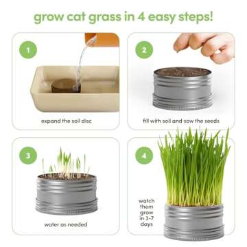 Grow Your Own Cat Grass for Indoor Cats Kit - 3 Complete Growing Kits - Plant Seeds, Pets Health Supplies Stuff - Gift for Pet Lover