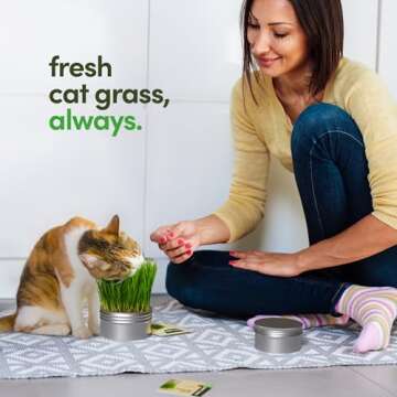 Grow Your Own Cat Grass for Indoor Cats Kit - 3 Complete Growing Kits - Plant Seeds, Pets Health Supplies Stuff - Gift for Pet Lover