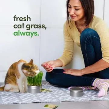 Grow Your Own Cat Grass for Indoor Cats Kit - 3 Complete Growing Kits - Plant Seeds, Pets Health Supplies Stuff - Gift for Pet Lover