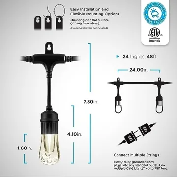 Color Changing Outdoor String Lights - 48ft Enbrighten