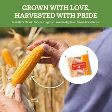 Franklin’s Organic Movie Theater Popcorn Kernels - 28oz