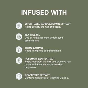 KEVIN.MURPHY MAXI.WASH - Detox Shampoo - Removes Build-Up & Minerals - Colour Safe - Also a Scalp Shampoo - Sulphate Free & Paraben Free - 250 mL / 8.4 fl oz