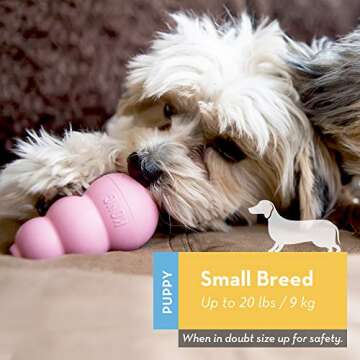 KONG - Puppy and Ziggies - Puppy Toys for Teething with Treats (Colors May Vary) - for Small Puppies