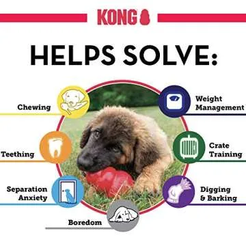KONG - Puppy and Ziggies - Puppy Toys for Teething with Treats (Colors May Vary) - for Small Puppies