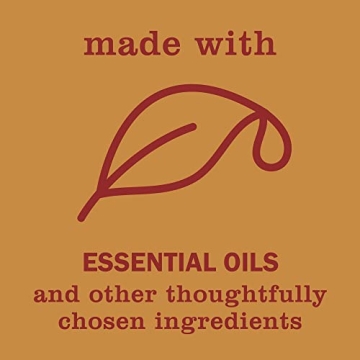 Mrs. Meyer's Apple Cider Candle - Eco-Friendly & Aromatic