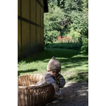 BIBS Baby Pacifiers - Natural Rubber Soothers for Newborns