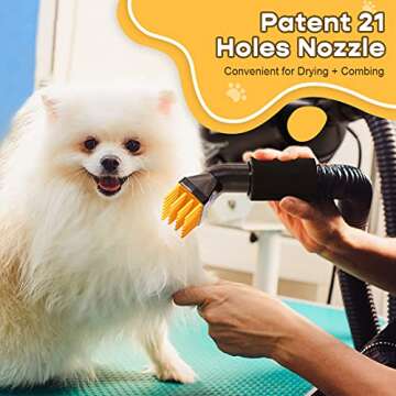 Free Paws Pet Dryer 4.0 HP Professional Grooming Tool