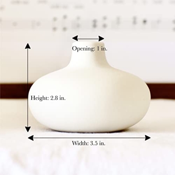 Set of 6 Nordic Minimalist White Ceramic Donut Bud Vases