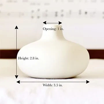 Set of 6 Nordic Minimalist White Ceramic Donut Bud Vases