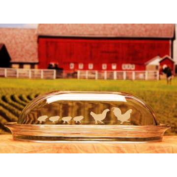 Transform Glass with Armor Etch Glass Etching Cream