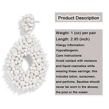 Fashion Cute DIY Handmade Beaded Statement Earrings for Women, Funny Elements for Flamingo, Parrot, Ice Cream, Snake and Green Leaf(Teardrop Beaded)