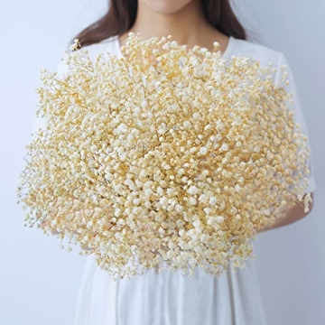 beerfingo 3000+ Dried-Babys-Breath-Bouquet-17.2 inch Ivory White Dried Flowers, Natural Gypsophila B...