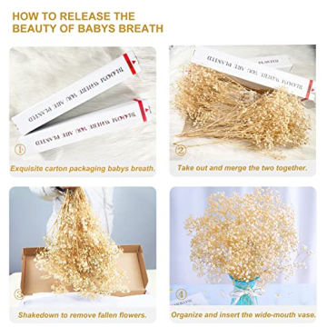 Beerfingo 3000+ Dried Baby's Breath Bouquet for Decor