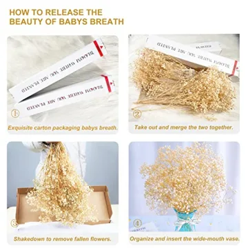 Beerfingo 3000+ Dried Baby's Breath Bouquet for Decor