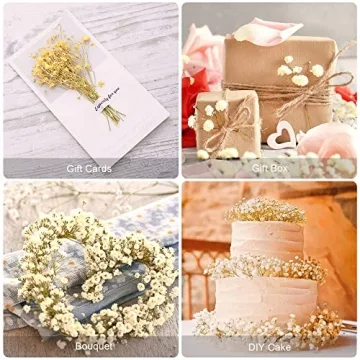 Beerfingo 3000+ Dried Baby's Breath Bouquet for Decor