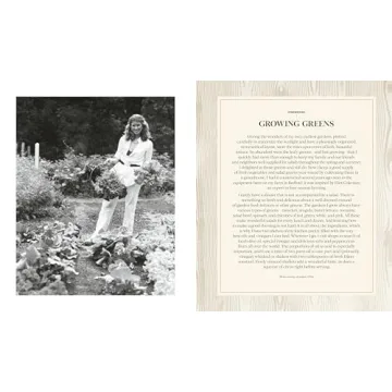 Martha Stewart's 100 Favorite Recipes Cookbook