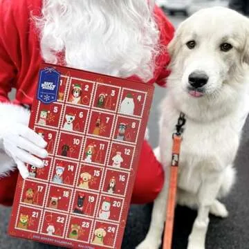 Best Bully Sticks Dog Advent Calendar - 24 Days of Fun