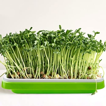 UCandy 10 Seed Sprouter Tray Kit for Home Gardening