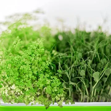 UCandy 10 Seed Sprouter Tray Kit for Home Gardening