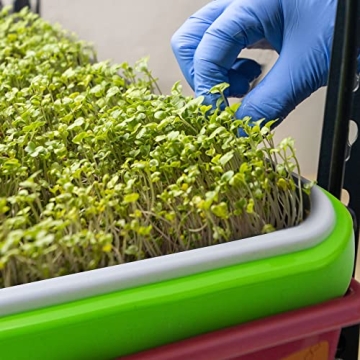 UCandy 10 Seed Sprouter Tray Kit for Home Gardening