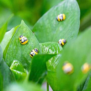 Savita 200 Pack Tiny Wooden Bee Flatback Embellishment Self-Adhesive Bee Stickers Fake Bees ​for Craft Scrapbooking DIY Decor Supplies, Baby Shower, Birthday, Party