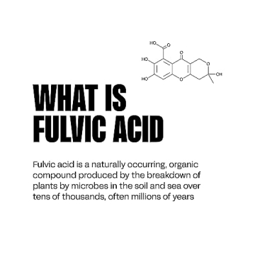 blk. Natural Alkaline Water Drops - Electrolyte Infused for Hydration