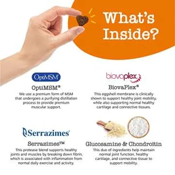 Zesty Paws Vet Strength Mobility Bites Beef & Bacon Flavor Hip & Joint Support Chews for Dogs with Glucosamine, Chondroitin, MSM, Hyaluronic Acid & Serrazimes - 90 Count