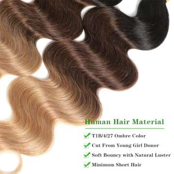 Ombre Brazilian Virgin Hair Body Wave Ombre Human hair 3 Tone,3 Bundles Ombre Brazilian Hair Extensions (T1B/4/27,14" 16" 18")