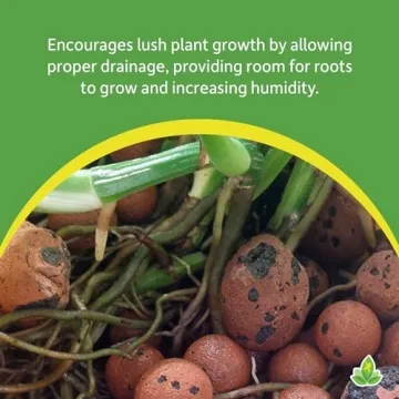 LECA Expanded Clay Pebbles for Bioactive Vivariums