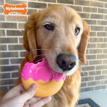 Durable Nylabone Power Chew Donut Dog Toy for Aggressive Chewers